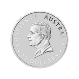 1/10 oz Australian Platinum Koala Coin (BU in Capsule)