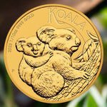 2023 1/10 oz Australian Gold Koala Coin (BU) - AGC