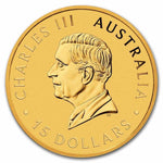 2024 1/10 oz Australian Gold Kangaroo Coin (BU) - AGC