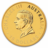 2024 1/10 oz Australian Gold Kangaroo Coin (BU) - AGC