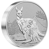 2023 10 oz Australian Silver Mother & Baby Kangaroo Coin (BU) - AGC