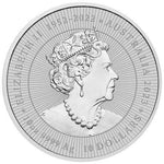 2023 10 oz Australian Silver Mother & Baby Kangaroo Coin (BU) - AGC
