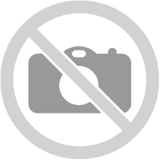 2025 1/10 OZ AMERICAN GOLD EAGLE